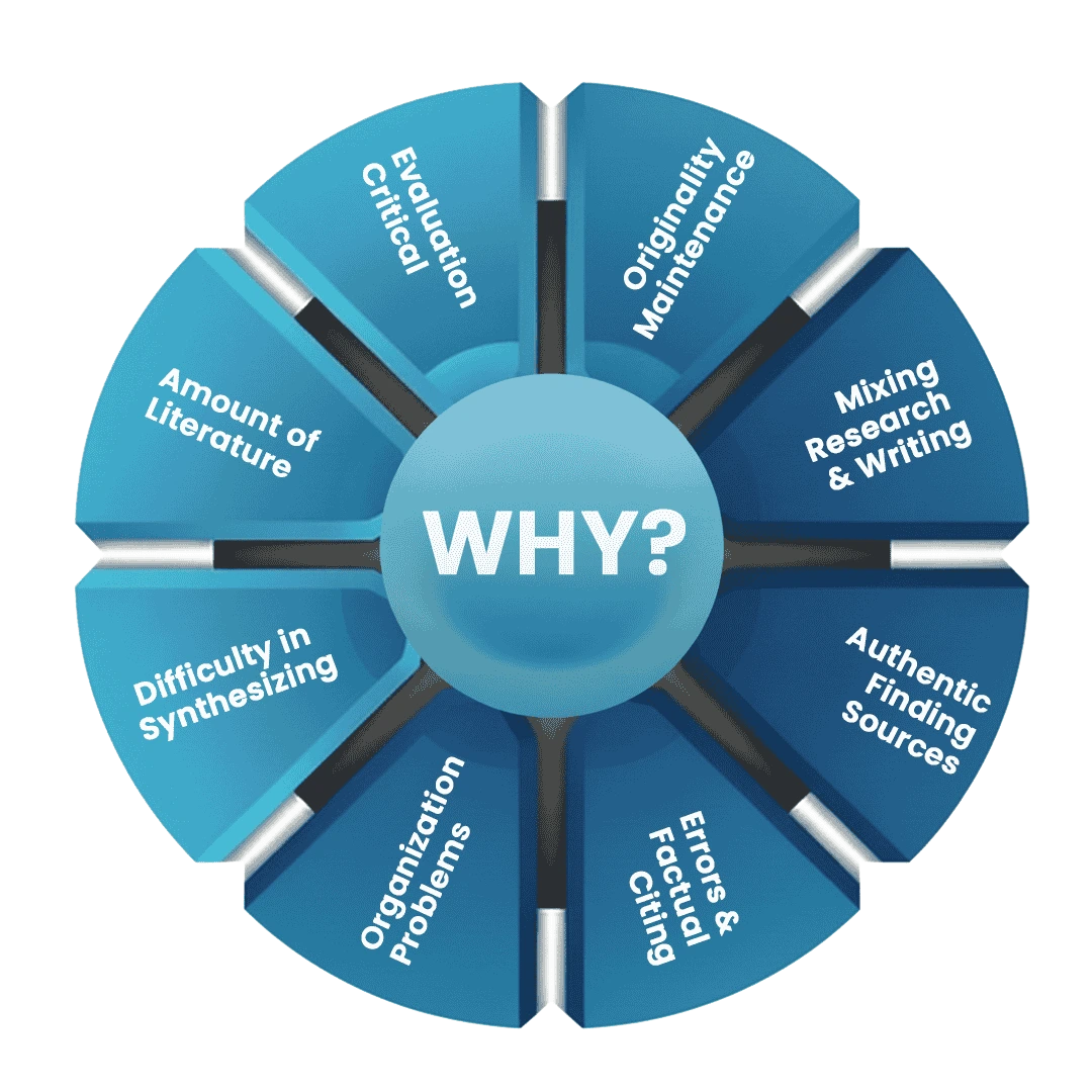 professional-literature-review-writing-service